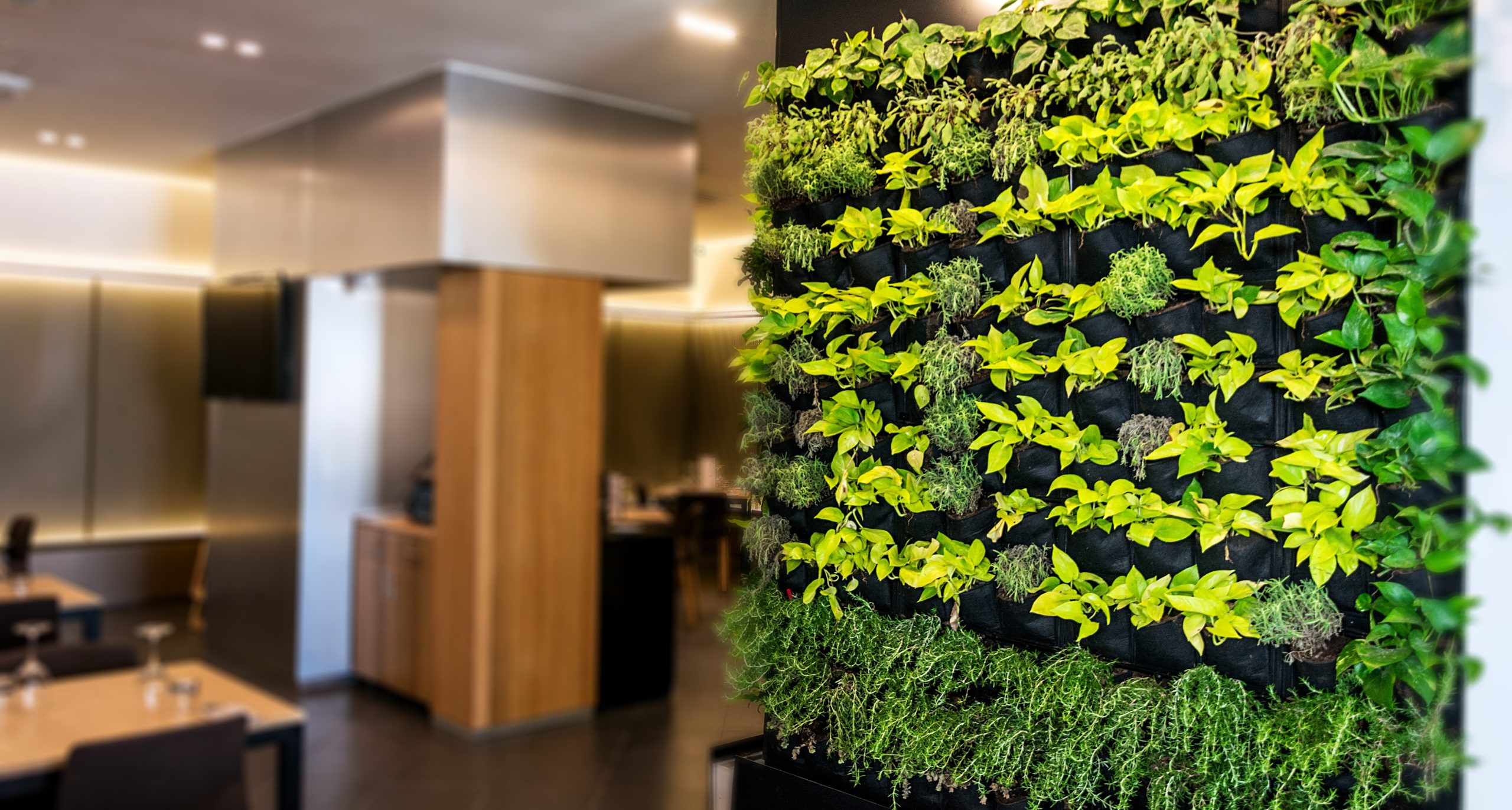 Indoor Wall Garden Creative Ideas - All Season Grow