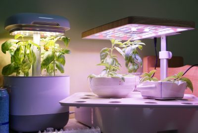 indoor hydroponic garden