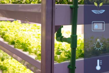 Indoor Hydroponic System