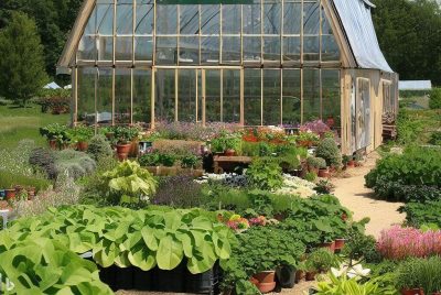 homestead supplier greenhouse