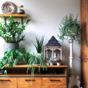 Read more about the article Indoor Garden Design and Inspiration