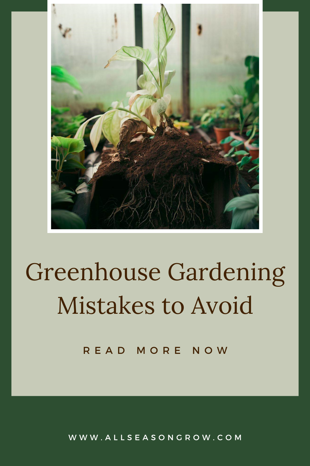 Greenhouse Gardening Mistakes to Avoid All Season Grow
